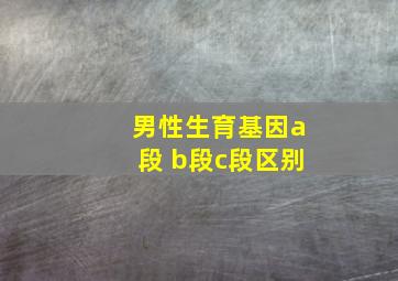 男性生育基因a段 b段c段区别